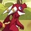 skromledragon